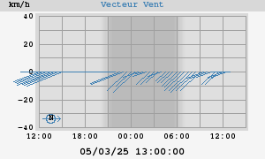 Wind Vector