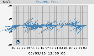 Wind Vector