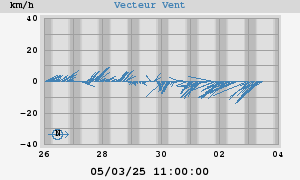 Wind Vector