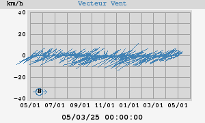 Wind Vector